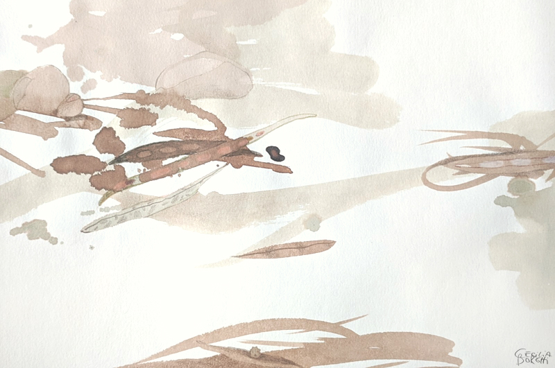 Dibujo de la serie La Anguila por Cecilia / Drawing from Eel series by Cecilia Borghi Dibujo de la serie La Anguila por Cecilia / Drawing from Eel series by Cecilia Borghi